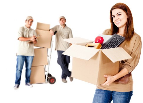 Professional man and van team assisting with a small relocation