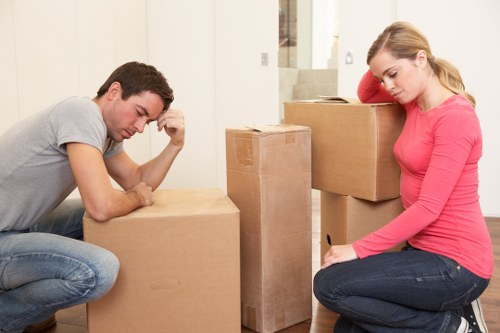 Local man and van transport for household items in Manorpark